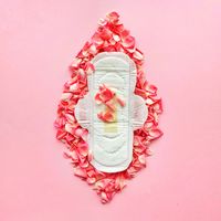 Gentle Day Purse Ready Pack - Organic & Hypoallergenic